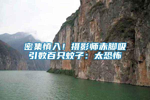 密集慎入！攝影師赤腳吸引數百只蚊子：太恐怖