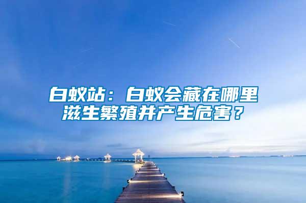 白蟻站：白蟻會(huì)藏在哪里滋生繁殖并產(chǎn)生危害？