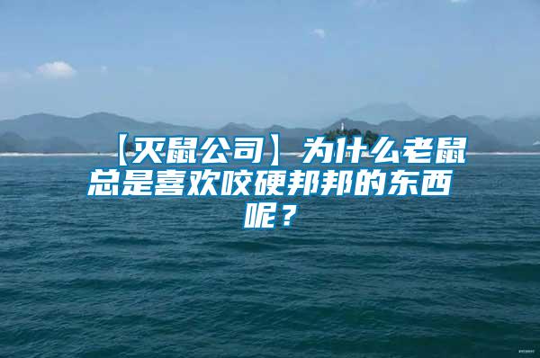 【滅鼠公司】為什么老鼠總是喜歡咬硬邦邦的東西呢？