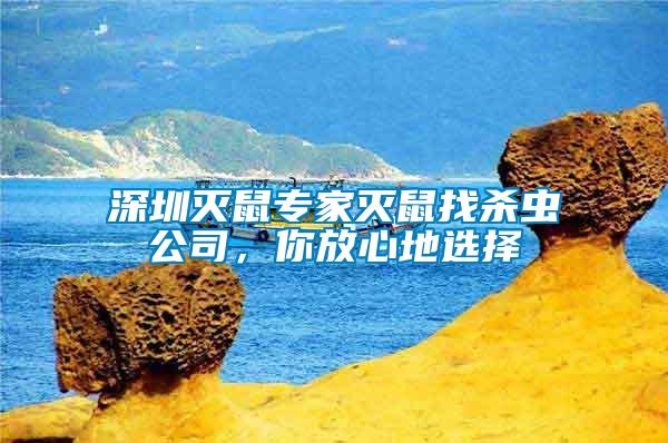 深圳滅鼠專家滅鼠找殺蟲公司，你放心地選擇