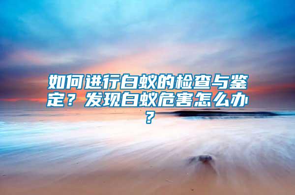 如何進行白蟻的檢查與鑒定？發(fā)現(xiàn)白蟻危害怎么辦？