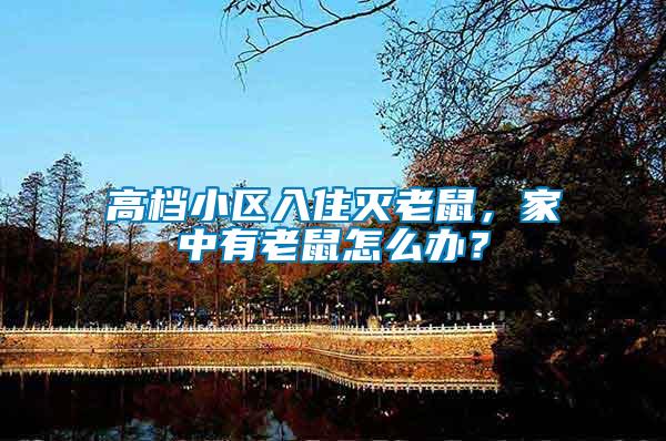 高檔小區入住滅老鼠，家中有老鼠怎么辦？