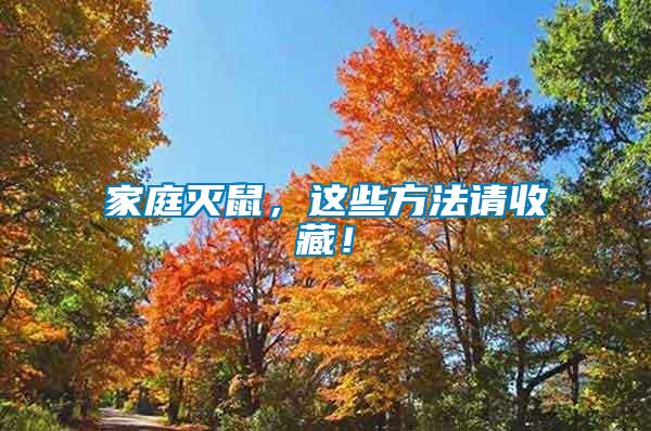 家庭滅鼠，這些方法請收藏！
