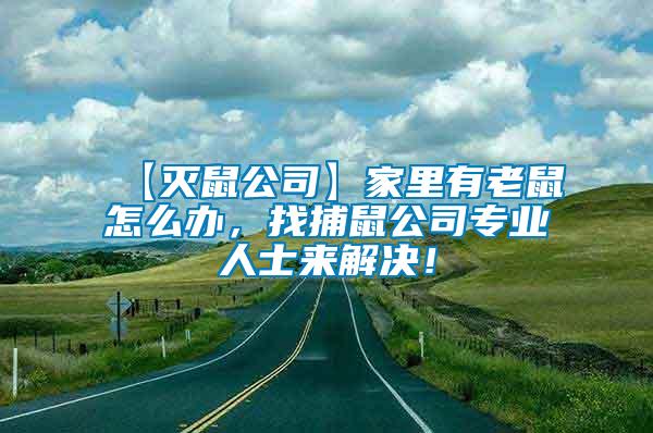 【滅鼠公司】家里有老鼠怎么辦，找捕鼠公司專業人士來解決！