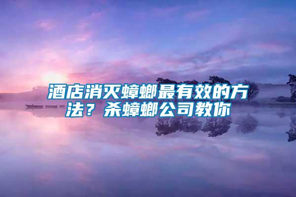 酒店消滅蟑螂最有效的方法？殺蟑螂公司教你