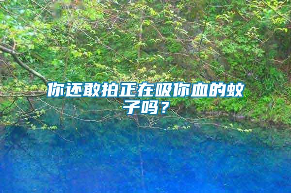 你還敢拍正在吸你血的蚊子嗎？