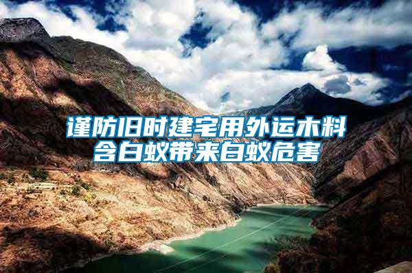 謹防舊時建宅用外運木料含白蟻帶來白蟻危害