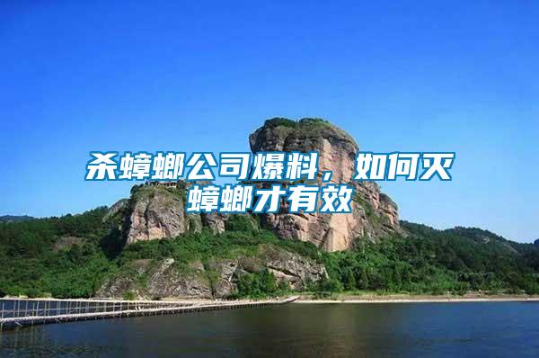 殺蟑螂公司爆料，如何滅蟑螂才有效