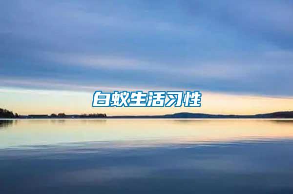 白蟻生活習性