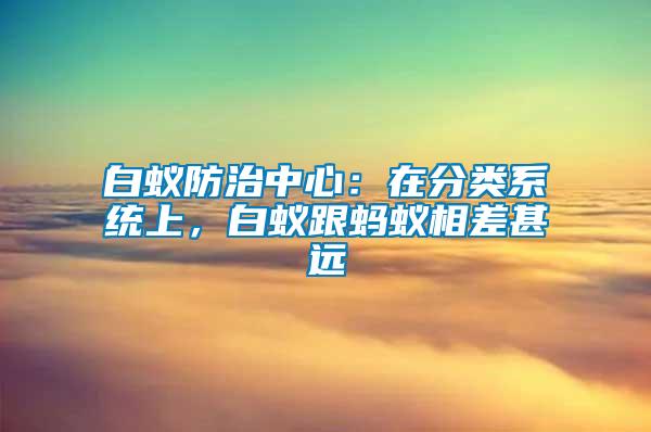 白蟻防治中心：在分類(lèi)系統(tǒng)上，白蟻跟螞蟻相差甚遠(yuǎn)