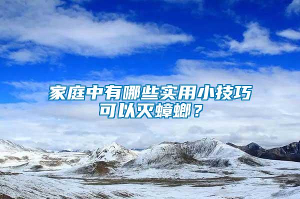 家庭中有哪些實(shí)用小技巧可以滅蟑螂？