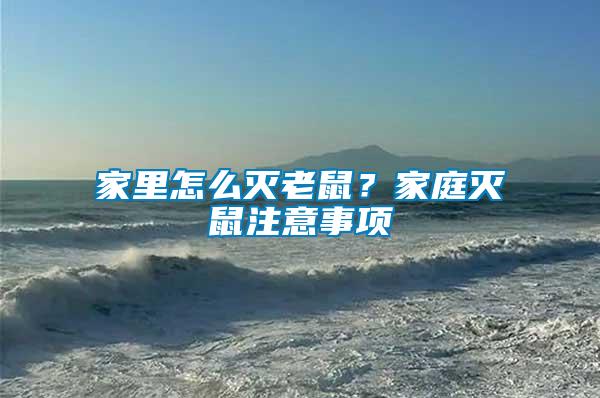 家里怎么滅老鼠？家庭滅鼠注意事項