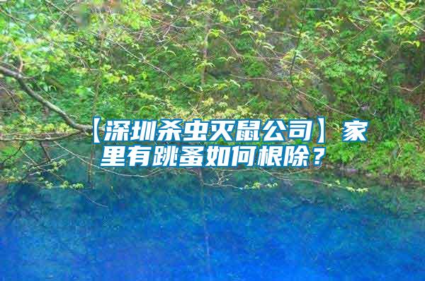 【深圳殺蟲滅鼠公司】家里有跳蚤如何根除？