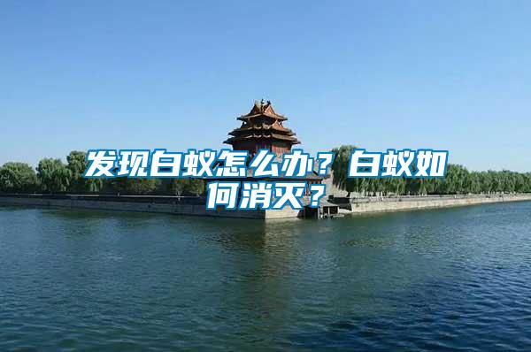 發現白蟻怎么辦？白蟻如何消滅？