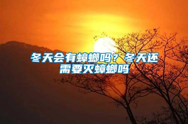 冬天會有蟑螂嗎？冬天還需要滅蟑螂嗎
