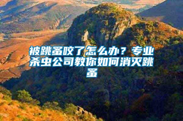 被跳蚤咬了怎么辦？專(zhuān)業(yè)殺蟲(chóng)公司教你如何消滅跳蚤
