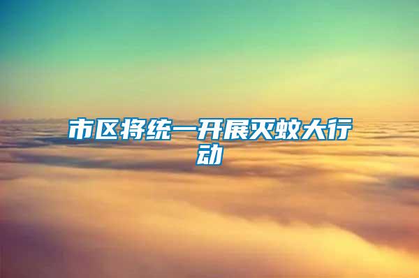 市區將統一開展滅蚊大行動
