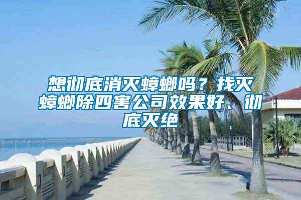 想徹底消滅蟑螂嗎？找滅蟑螂除四害公司效果好、徹底滅絕