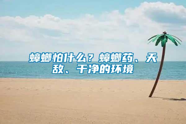 蟑螂怕什么？蟑螂藥、天敵、干凈的環境