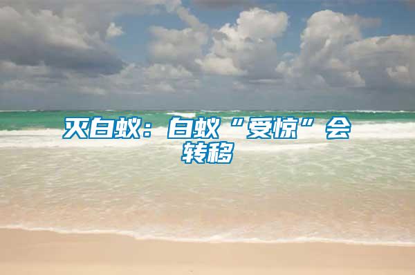 滅白蟻：白蟻“受驚”會轉(zhuǎn)移