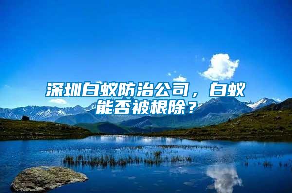 深圳白蟻防治公司，白蟻能否被根除？