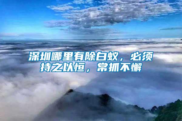 深圳哪里有除白蟻，必須持之以恒，常抓不懈