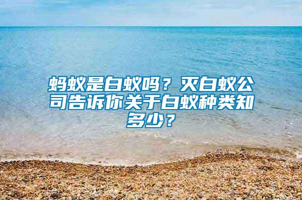 螞蟻是白蟻嗎？滅白蟻公司告訴你關于白蟻種類知多少？