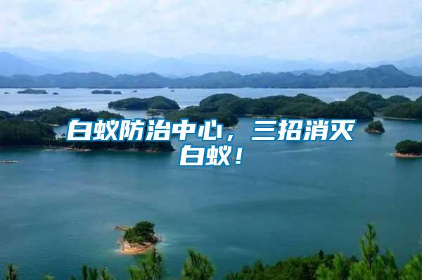 白蟻防治中心，三招消滅白蟻！