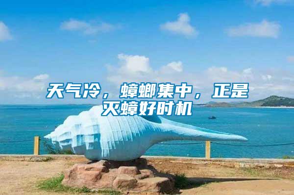 天氣冷，蟑螂集中，正是滅蟑好時(shí)機(jī)