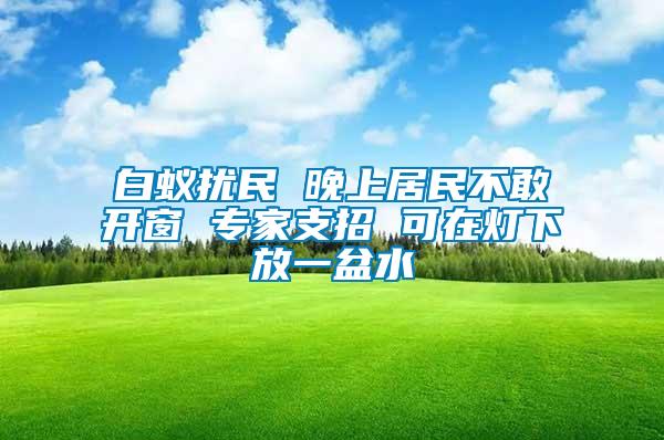 白蟻擾民 晚上居民不敢開(kāi)窗 專(zhuān)家支招 可在燈下放一盆水