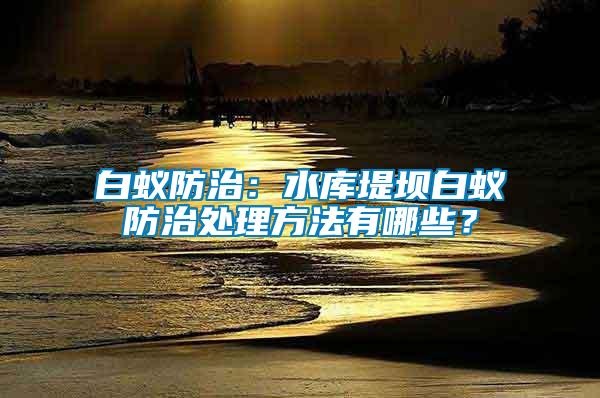 白蟻防治：水庫堤壩白蟻防治處理方法有哪些？