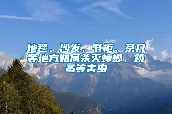 地毯、沙發、書柜、茶幾等地方如何殺滅蟑螂、跳蚤等害蟲