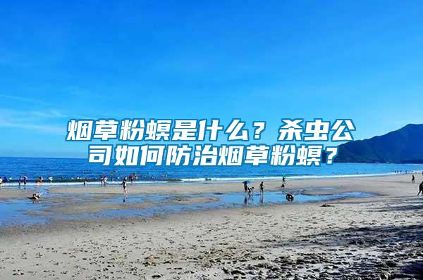煙草粉螟是什么？殺蟲公司如何防治煙草粉螟？