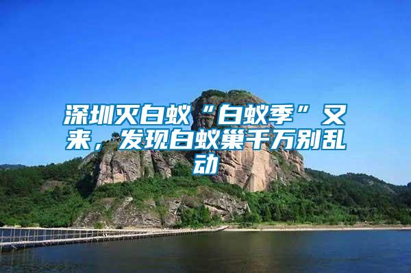 深圳滅白蟻“白蟻季”又來，發(fā)現(xiàn)白蟻巢千萬別亂動