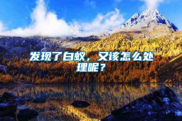 發現了白蟻，又該怎么處理呢？