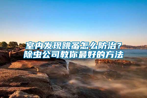 室內發現跳蚤怎么防治？除蟲公司教你最好的方法