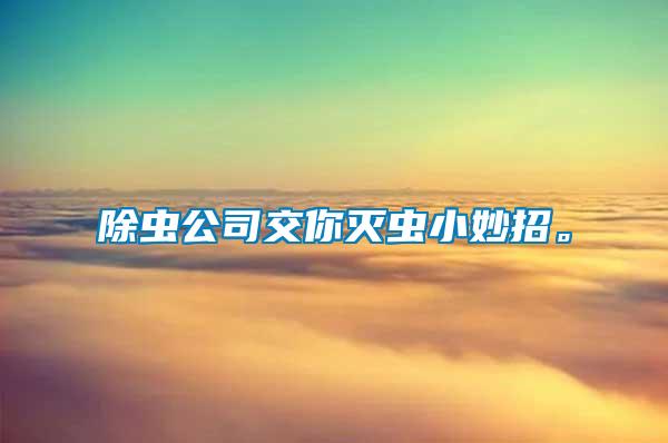 除蟲公司交你滅蟲小妙招。