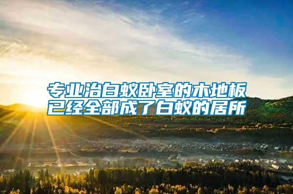 專業治白蟻臥室的木地板已經全部成了白蟻的居所