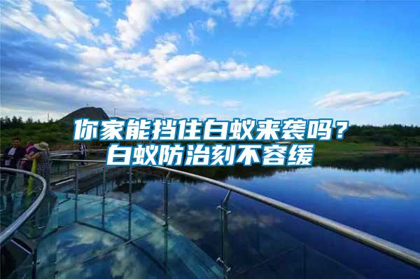 你家能擋住白蟻來(lái)襲嗎？白蟻防治刻不容緩