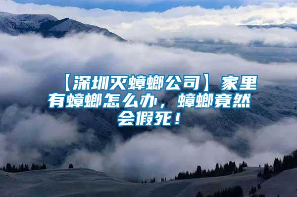 【深圳滅蟑螂公司】家里有蟑螂怎么辦，蟑螂竟然會假死！