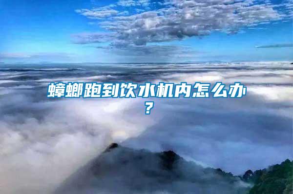 蟑螂跑到飲水機(jī)內(nèi)怎么辦？