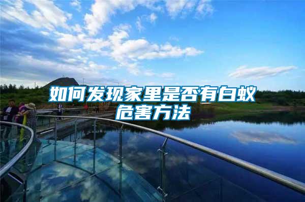 如何發現家里是否有白蟻危害方法