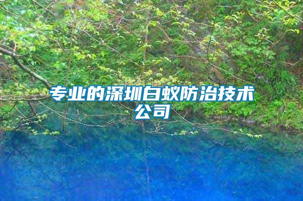 專業的深圳白蟻防治技術公司