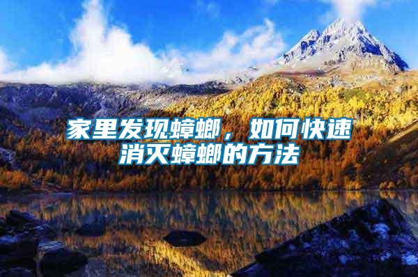 家里發現蟑螂，如何快速消滅蟑螂的方法
