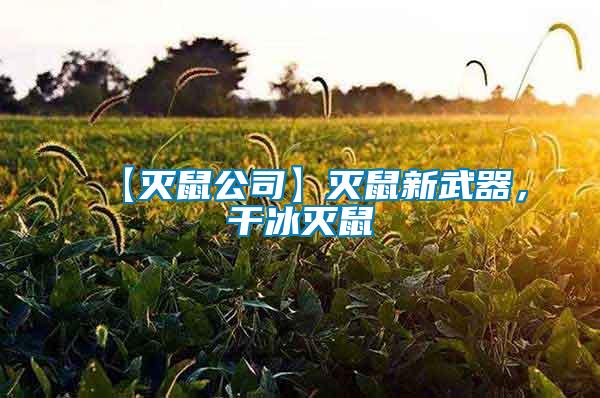 【滅鼠公司】滅鼠新武器，干冰滅鼠