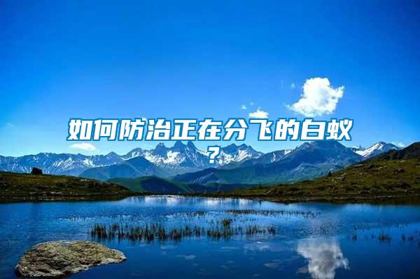 如何防治正在分飛的白蟻？