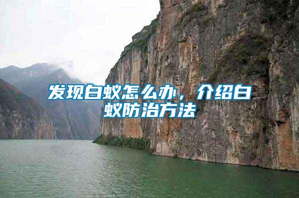 發現白蟻怎么辦，介紹白蟻防治方法