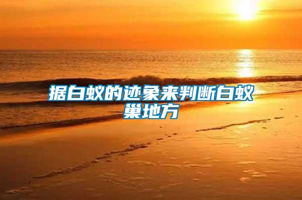 據白蟻的跡象來判斷白蟻巢地方