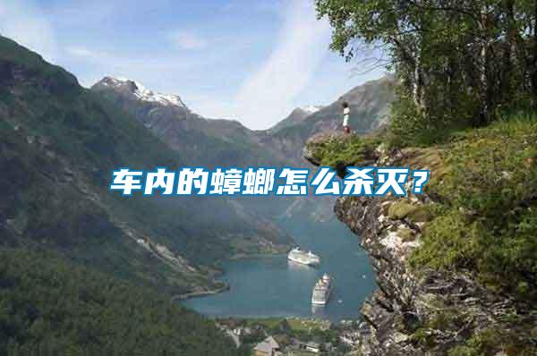 車內(nèi)的蟑螂怎么殺滅？