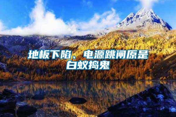 地板下陷、電源跳閘原是白蟻搗鬼